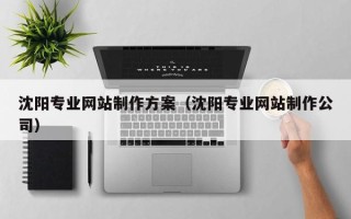 东阳沈阳专业网站制作方案（沈阳专业网站制作公司）